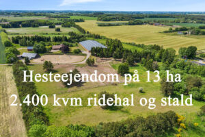 Hesteejendom 12 ha - stor ridehal - Østjylland