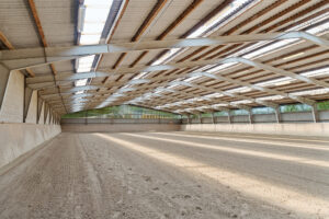 Hesteejendom 12 ha - stor ridehal - Østjylland